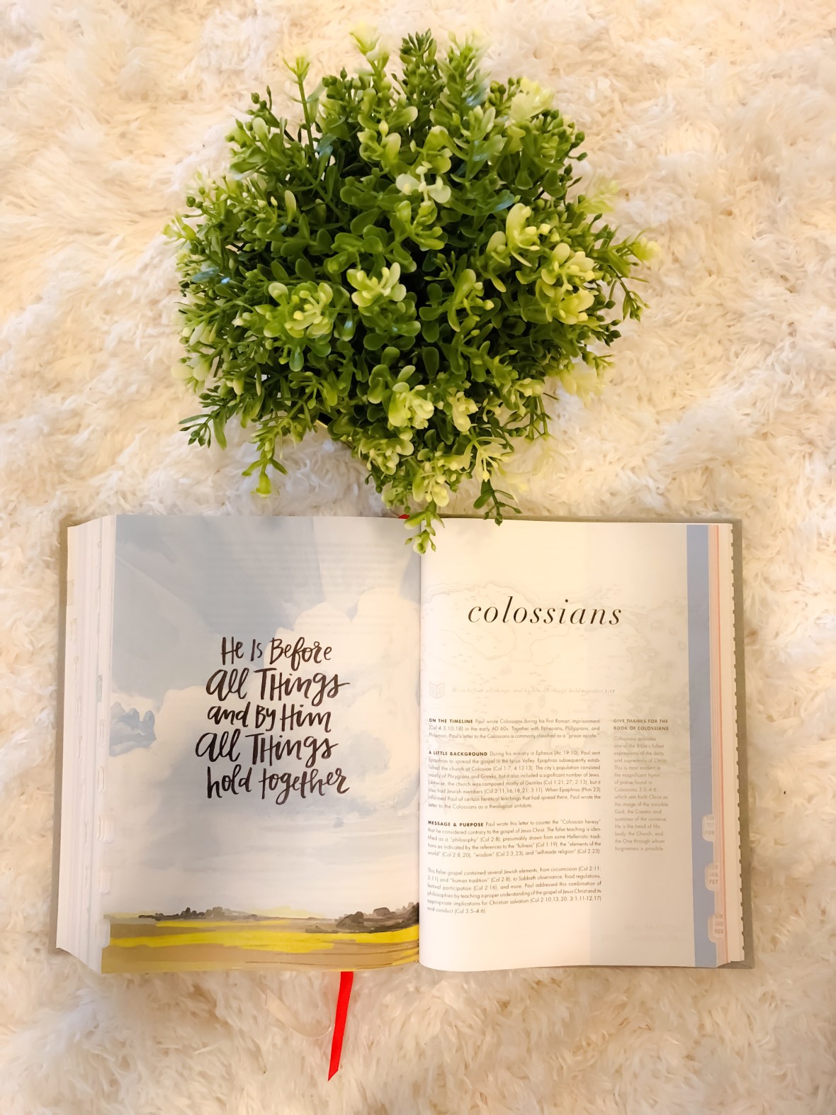 18E46A32-8253-4F3F-A068-F1F7D728459F