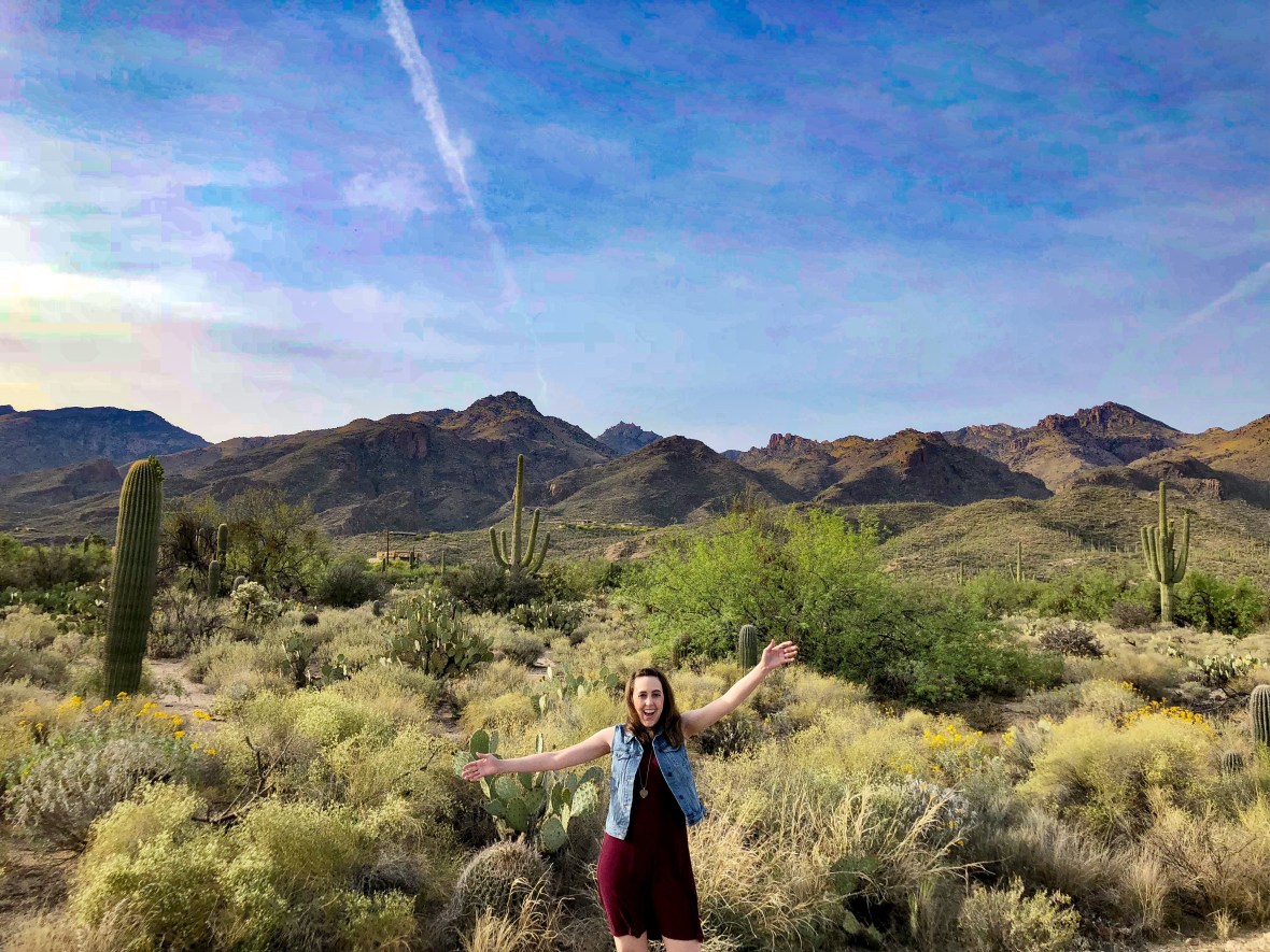 1D3A51A0-C00C-4ED4-A2C1-6D025E6D2E39